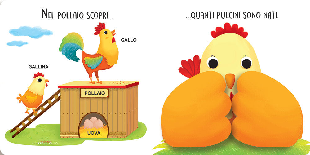 FATTORIA. Muovi e scopri