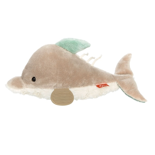 Delfino attivita PlayQ