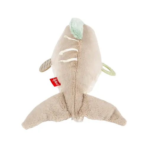 Delfino attivita PlayQ