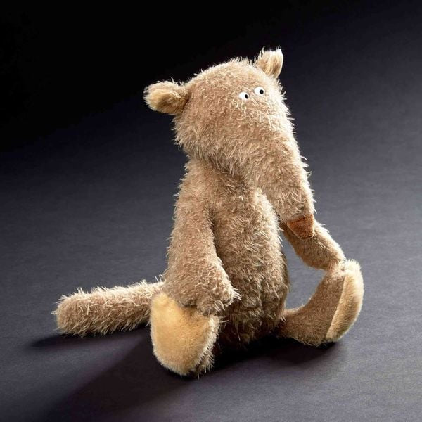 Coati medio Ach Good