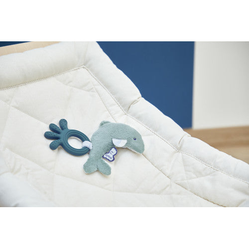 IL MIO DENTARUOLO DELFINO