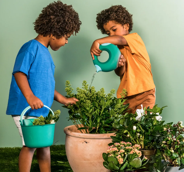 Cana small 0.5 L Garden green