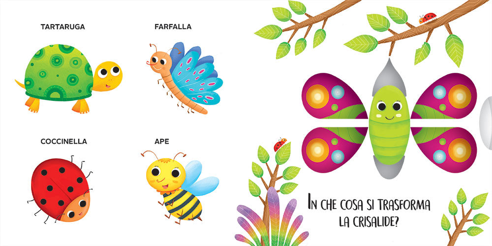ANIMALI. Muovi e scopri