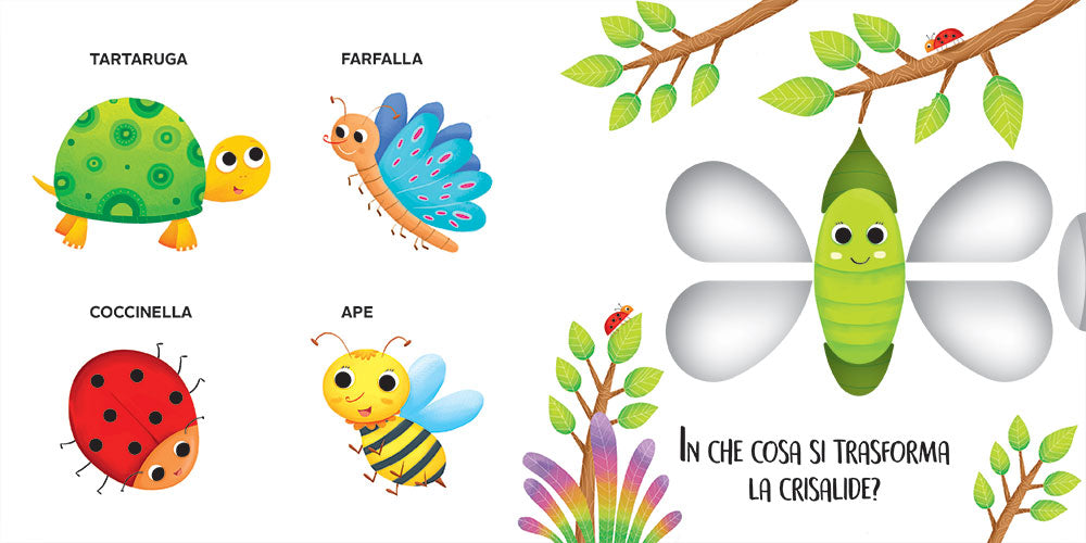 ANIMALI. Muovi e scopri