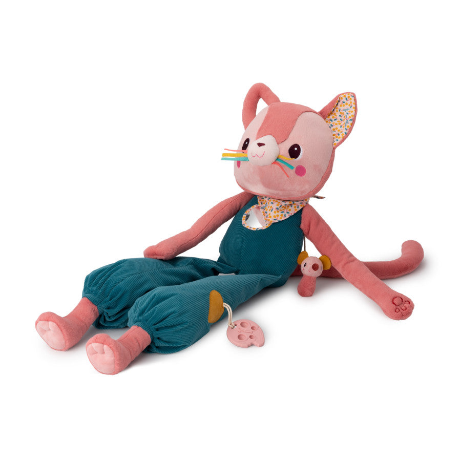Jeanne Grande gatto scopritore