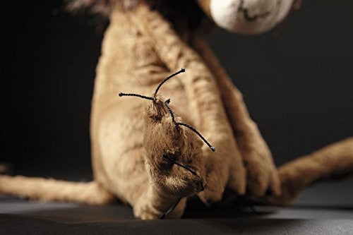 Metusa Leo BeastsTown