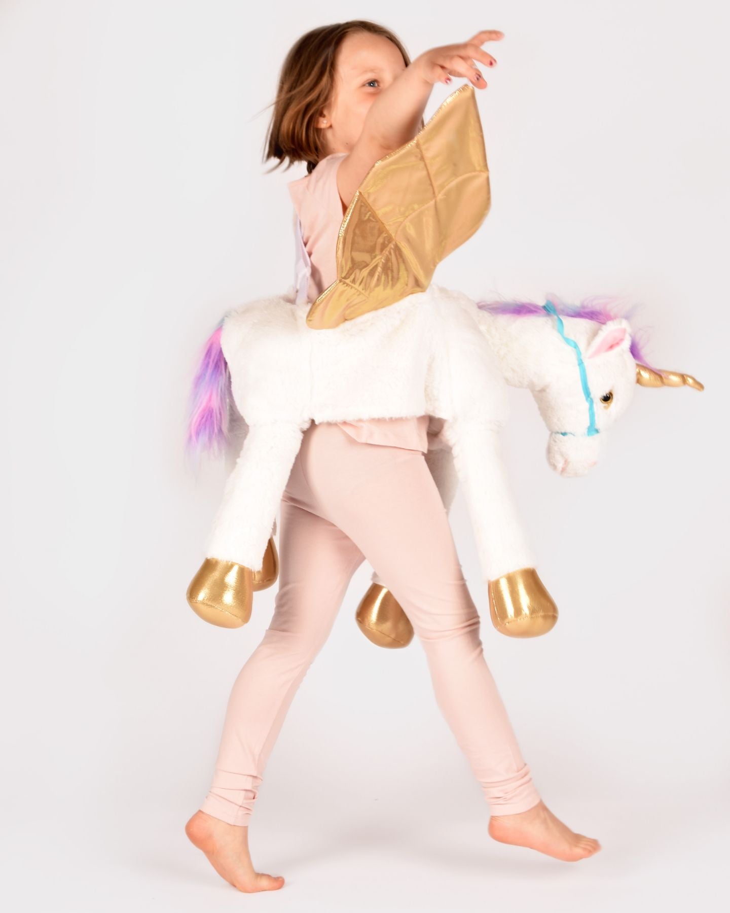 Unicorno da cavalcare