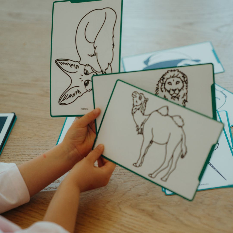 KIDYDRAW MINI animali in tutto il mondo
