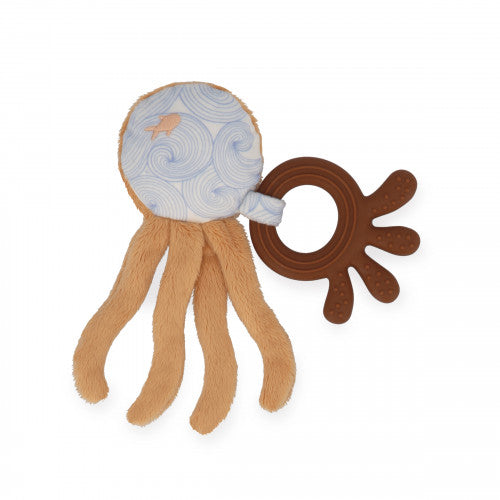 IL MIO DENTARUOLO POLIPO