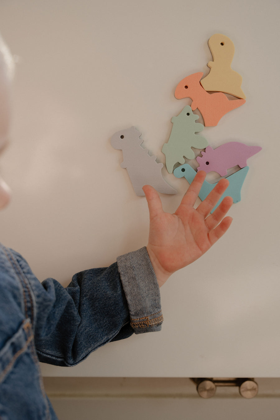 Magnetic Dinosaurs Moes Play