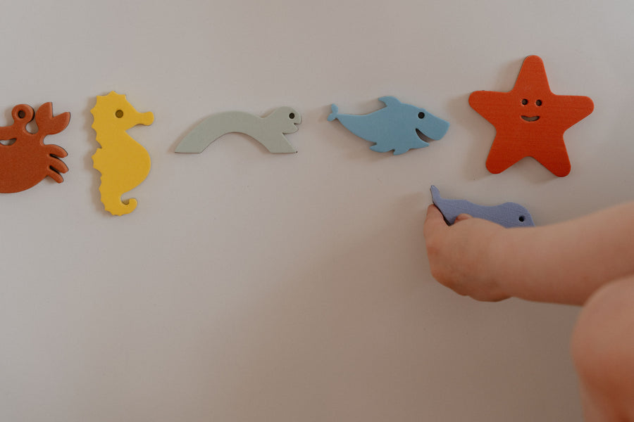 Magnetic Sea Life Animals Moes Play