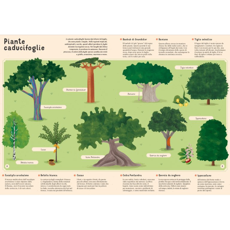 Enciclopedia di Piante, Funghi e Licheni per piccoli lettori